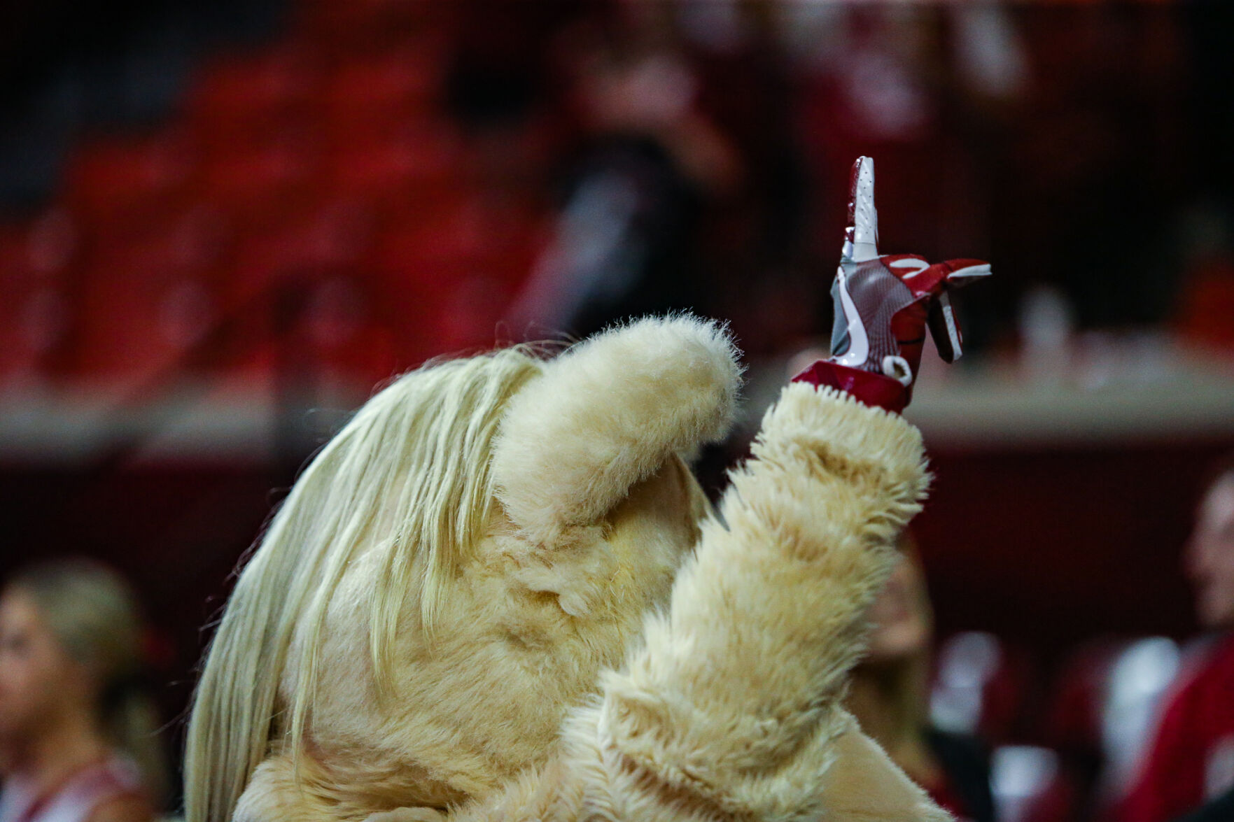 Boomer
